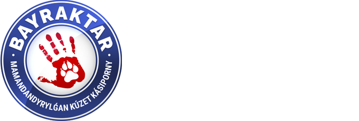 Специализированное охранное предприятие «BAYRAKTAR»